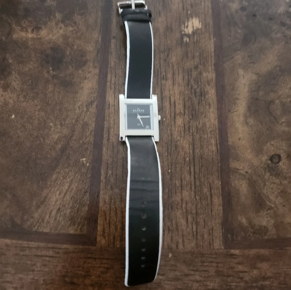 Skagen denmark watch